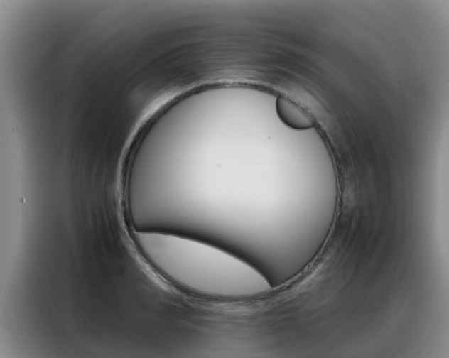 X0000088360990200705220729