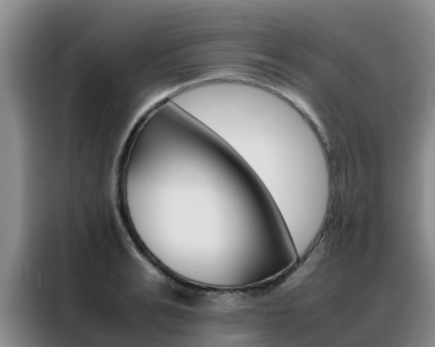 X0000088360991200705220729