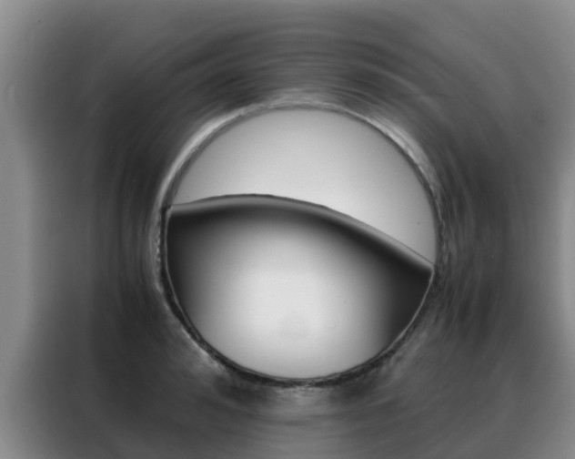X0000088360992200705220729