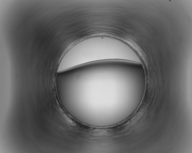 X0000088360993200705220729