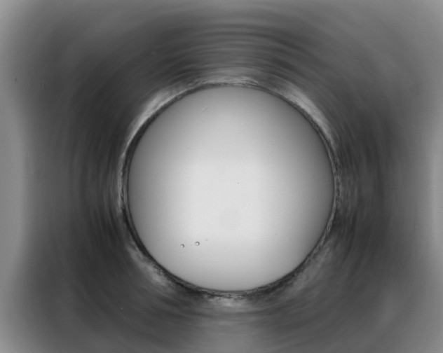 X0000088360994200705220729