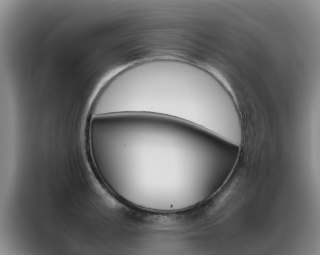 X0000088360995200705220729