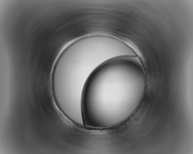 X0000088360996200705220729