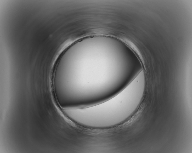 X0000088360997200705220729
