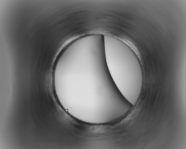 X0000088361000200705220729
