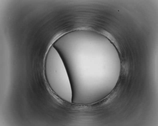 X0000088361002200705220729