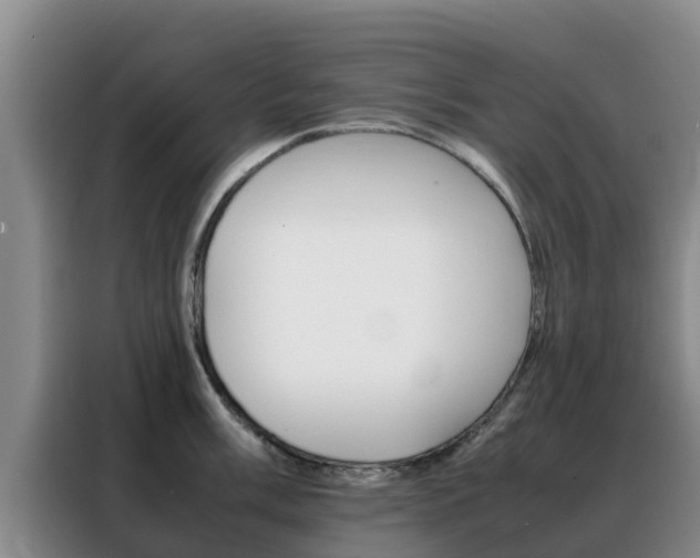 X0000088361003200705220729