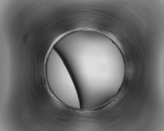 X0000088361004200705220729
