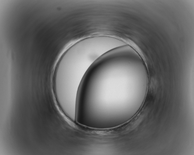 X0000088361005200705220729