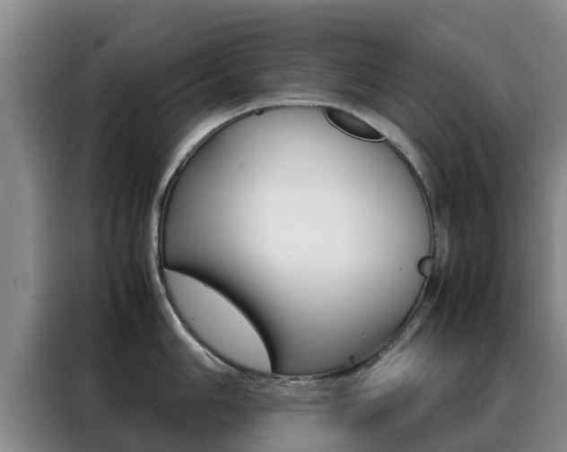 X0000088361006200705220729