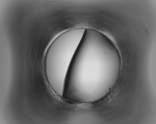 X0000088361008200705220729