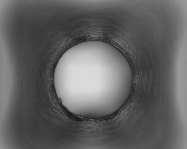 X0000088361009200705220728