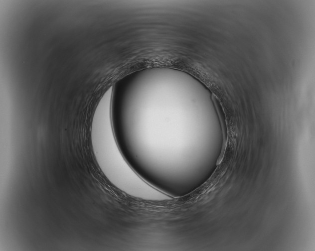 X0000088361010200705220728