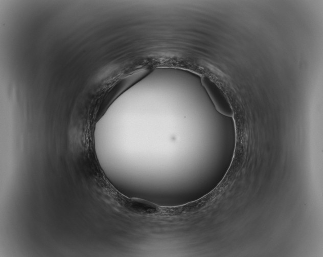 X0000088361014200705220728