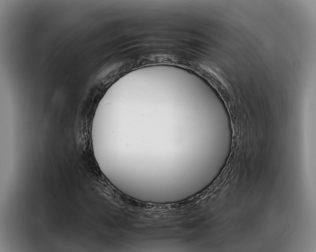 X0000088361015200705220728