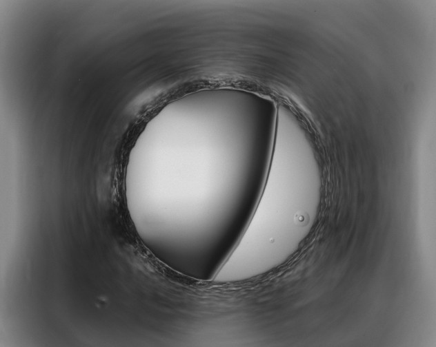 X0000088361016200705220728