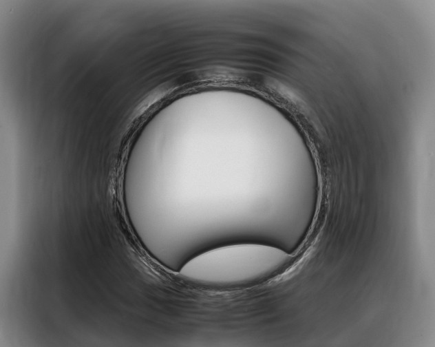 X0000088361017200705220728