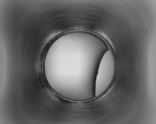 X0000088361019200705220728