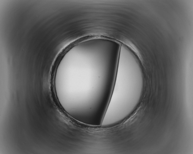 X0000088361020200705220728
