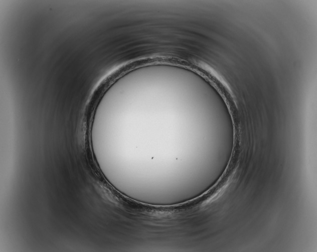 X0000088361021200705220728