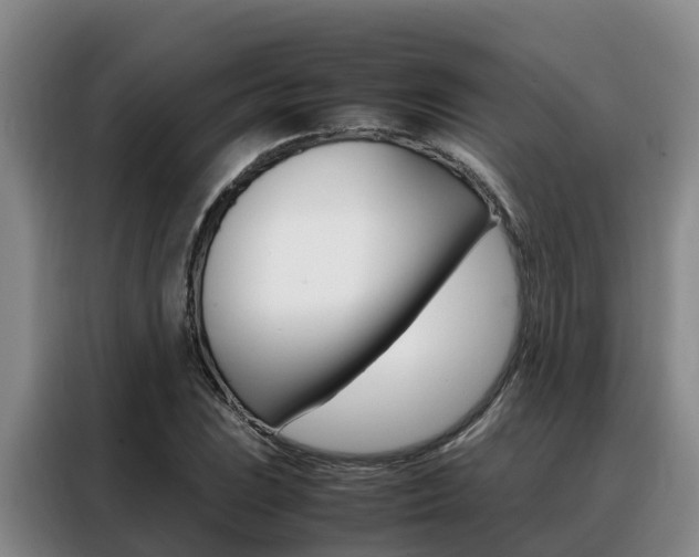 X0000088361023200705220729