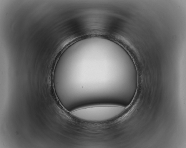 X0000088361025200705220729