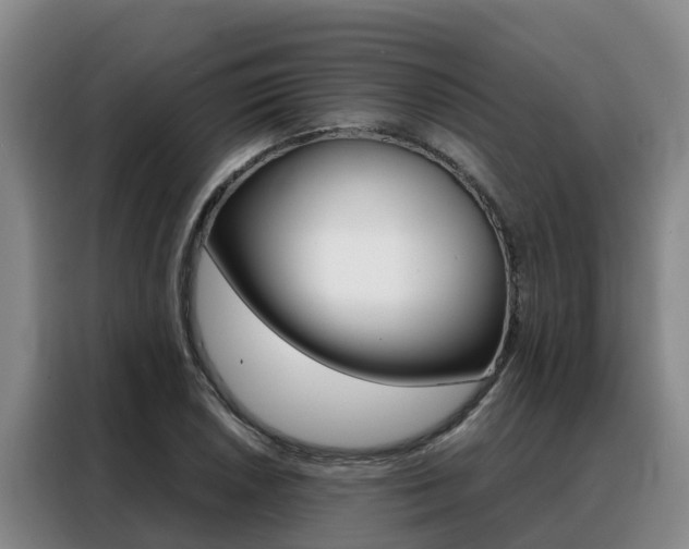 X0000088361026200705220729
