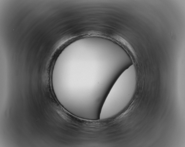 X0000088361027200705220729