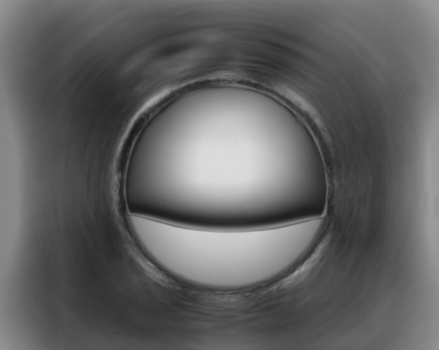 X0000088361029200705220729