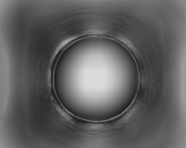X0000088361030200705220729