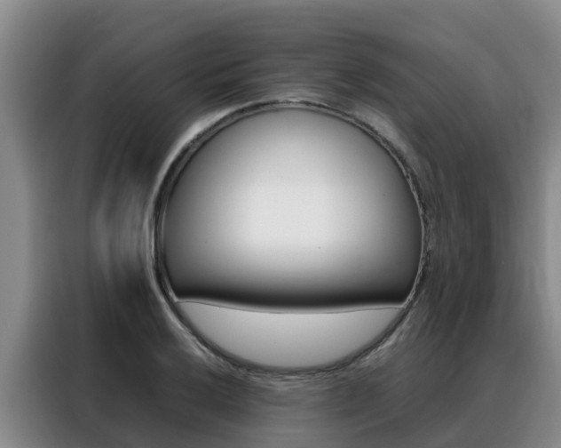 X0000088361032200705220729
