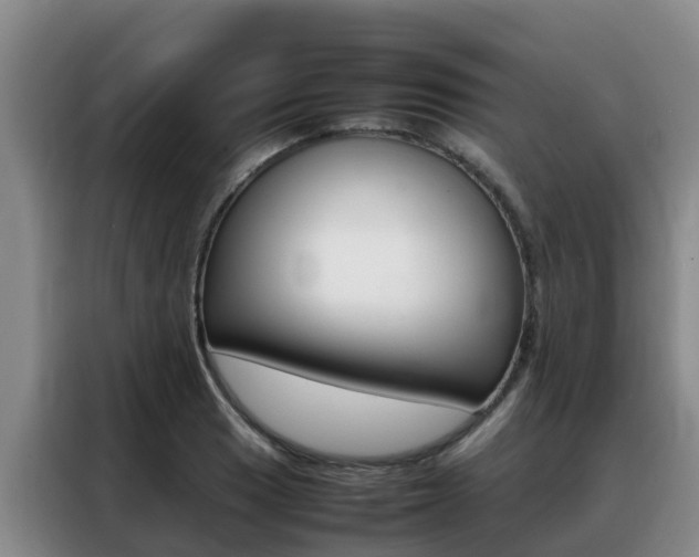 X0000088361033200705220729