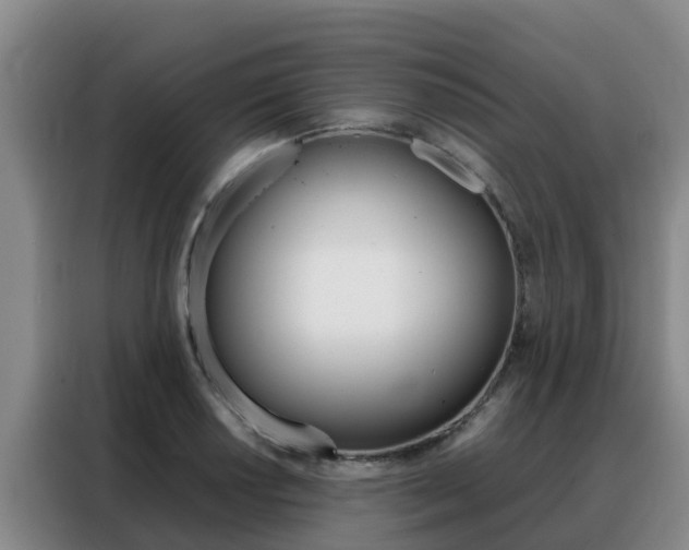 X0000088361034200705220729