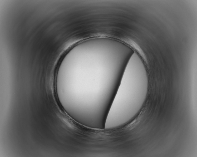 X0000088361035200705220729
