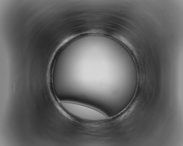 X0000088361037200705220729