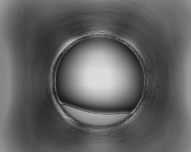 X0000088361038200705220729