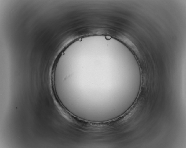 X0000088361039200705220729