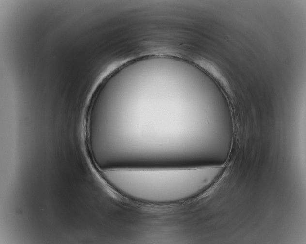 X0000088361040200705220729