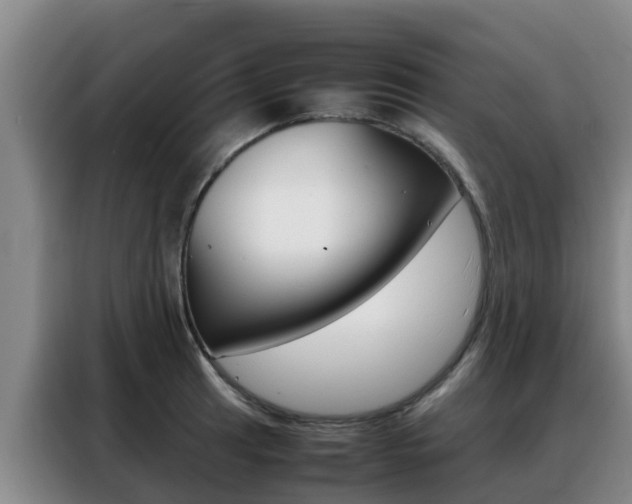 X0000088361041200705220729