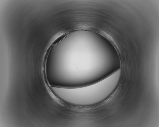 X0000088361042200705220729