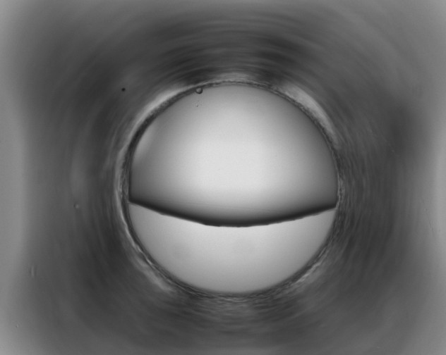 X0000088361043200705220729