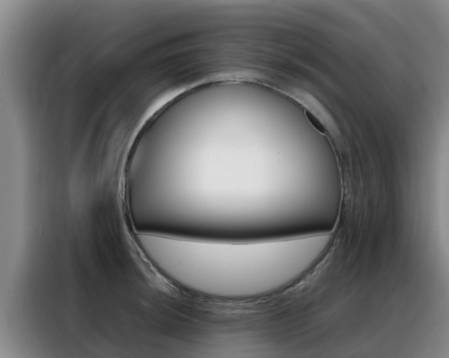 X0000088361044200705220729