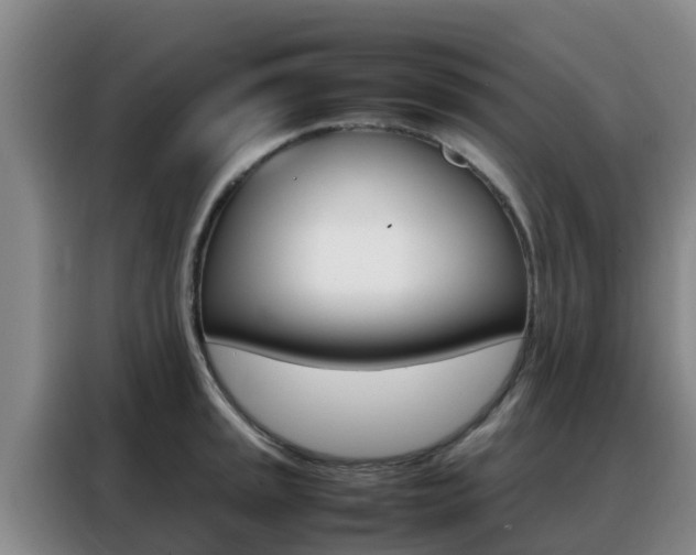 X0000088361045200705220729