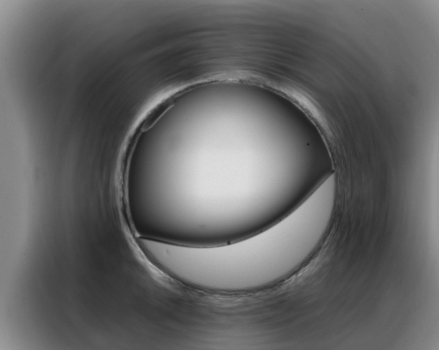 X0000088361046200705220729
