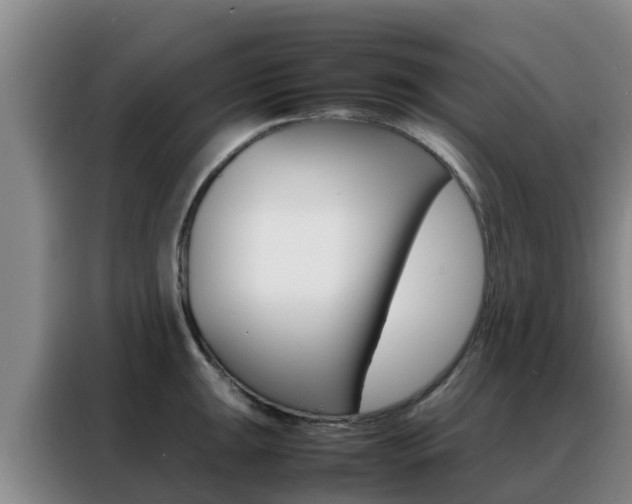 X0000088361047200705220729