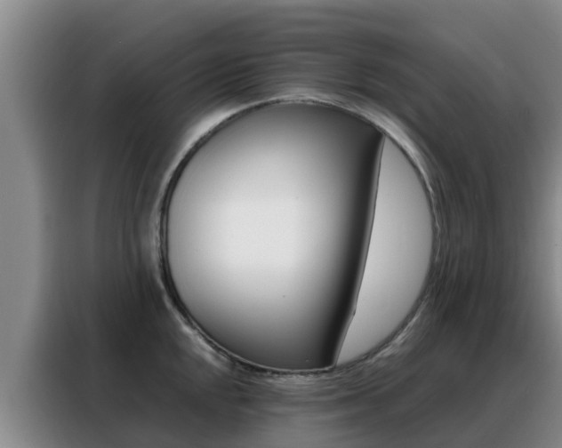 X0000088361048200705220729