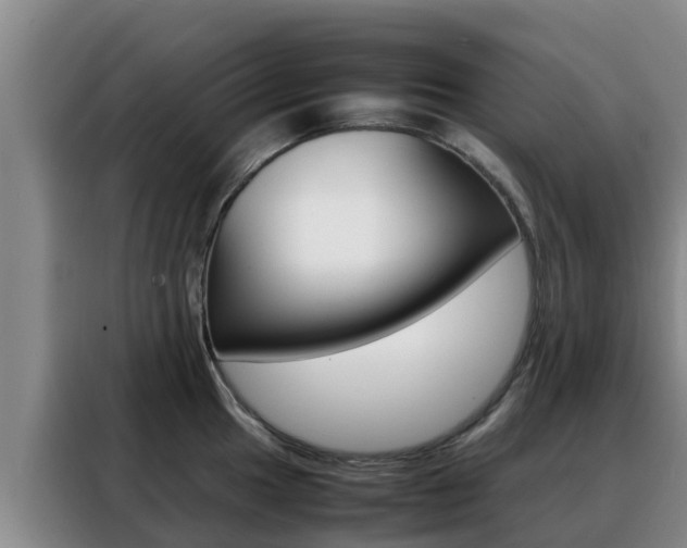 X0000088361049200705220729