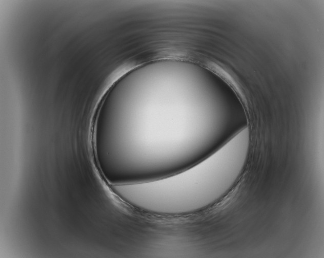 X0000088361050200705220729