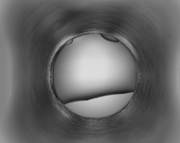 X0000088361051200705220729