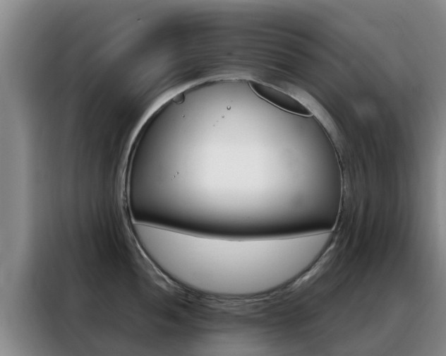 X0000088361052200705220729